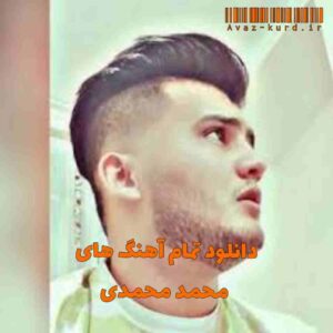 دانلود تمام آهنگ های محمد محمدی (آپدیت 1402)