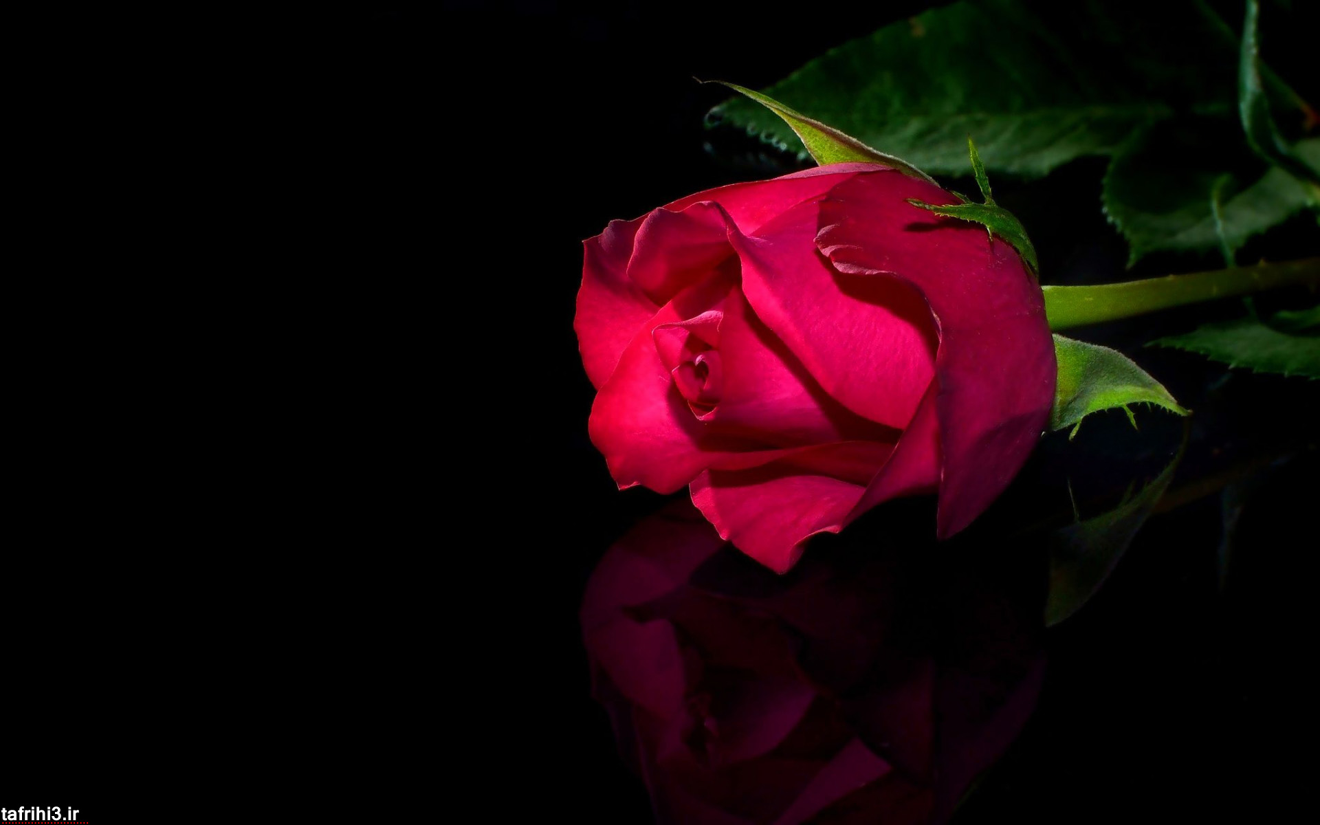ناتالیا وه گه ری