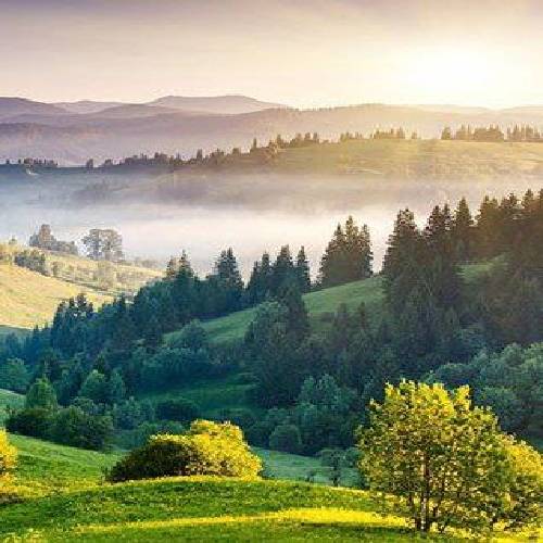  برم نمیخوابی با ناله جغد دم دم گرگ و میشه نا واضحه صبح نه طوفانی