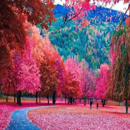  میخوام من بگم چند کلمه دل کتابم بازم شب شده غم زده
