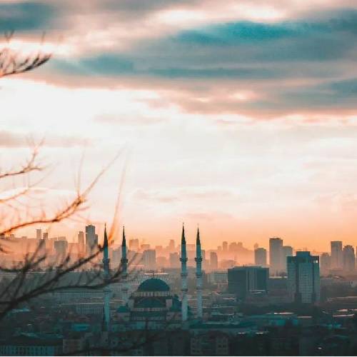 متی هووک
