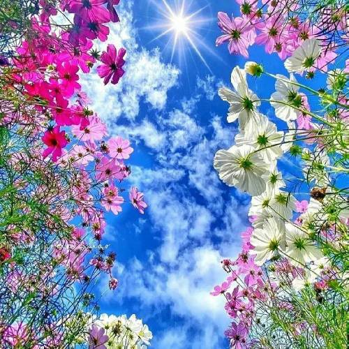 متی ملتفت