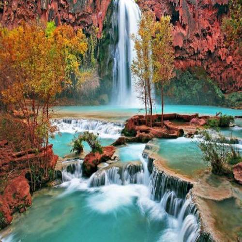 صادق  برای قلبش و روحش و باوراش زنده موند حتی اگه خواستن
