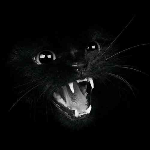 دلمون به چی خوش بود به قصه های بابایی و به خوابای با لالایی مامانی
