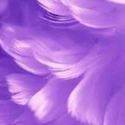  فشاری رو زیریم نبود قصم مثه فرهاد بود اما هیچ کجاش شیرین نبود
