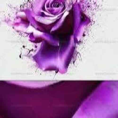  غصه که مال قصه‌هاست خوشیم همه جوره رو زمین با چشم باز