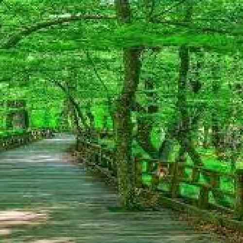  ما رو به رقص آوردی باز طلبکار بد اخلاق ای بابا دست از این اداها بردار