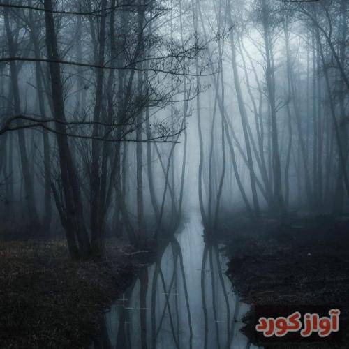 زلیخا محمدشاهوا بی بی بی گو بی دیگه به من کوچولو نگو دخترک خوشرو
