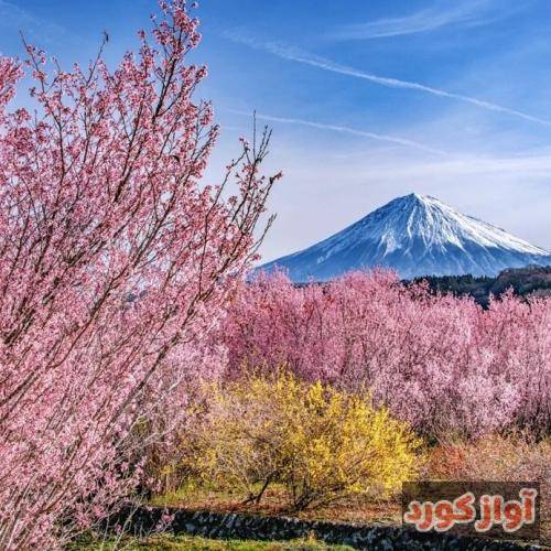 ستار کرامت‌الله ابر آمد باران گرفت و سبزه نوش‌جان گرفت