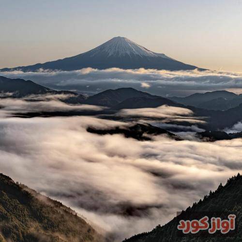 نازیه کرامت‌الله کجایی