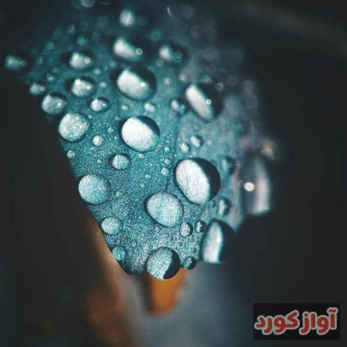 نگینه امانقلوا نهال عشق بی‌ثمر بمانده داغ و سوزها ز من تو