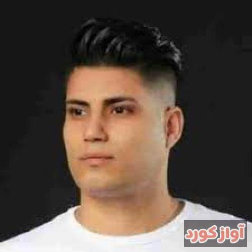 امین فالجی شاهزاده ی قلبم خودی مهر عشق کوتای و دلم