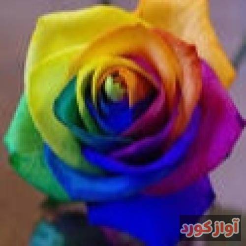 سامی بیگی دوست سابقمی