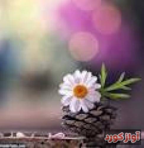 پارسالیپ آدم برفی