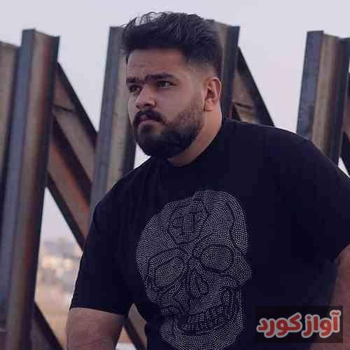 مهدی شریفی قلمرو