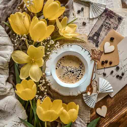 حمیدرضا سفارشی