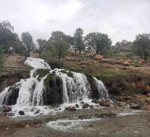 سیناب خاکی