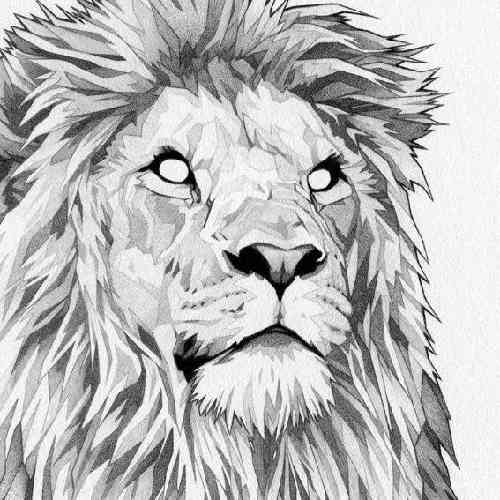  کلا خط زدم هرکی دور منه بگو چرا میخوان اینا منو پرم کنن