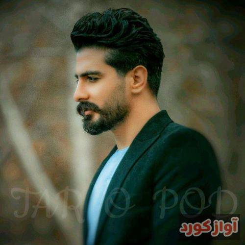 سعید حسینی غزل ایل
