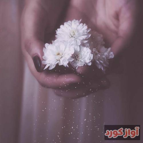 رضا مورفین 2