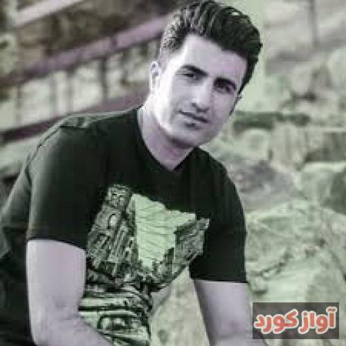 محسن لرستانی چشامو میبندم شاید حس کنم هست کنارم