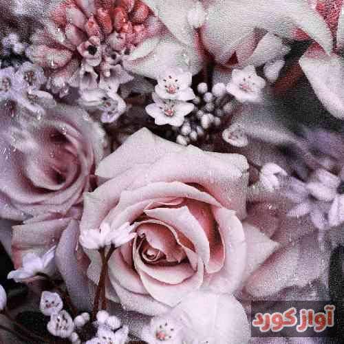 باران حکیمی دلدار