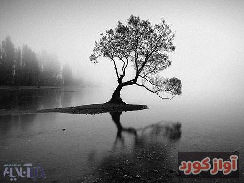 وریل منم همین جوری فکر می کردم