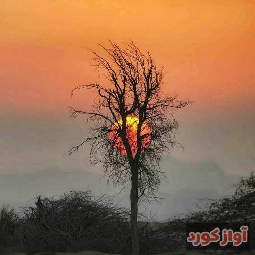 وریل یادت بودم