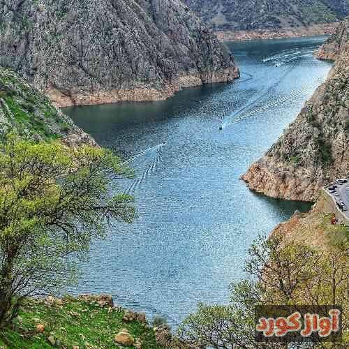 باران حکیمی یاری من