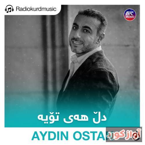 آیدین استان دل هەی تویە