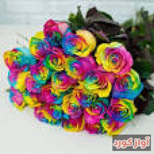 موسی الرضا هاتفی تو صدات برای من لالاییه نباشی قسمت دل
