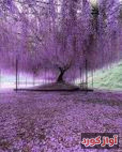 مهدی درمیانی بیا دوباره قصه بگو شهرزاد شهرزاد