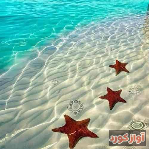 باران حکیمی خیانت