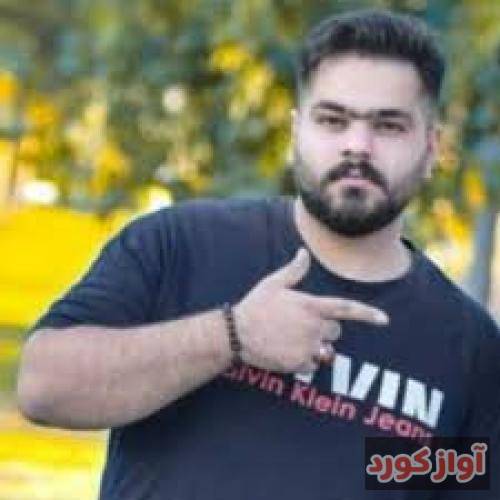 مهدی شریفی قلمرو