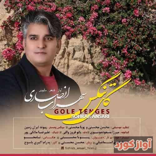 سهراب انصاری گل تنگس
