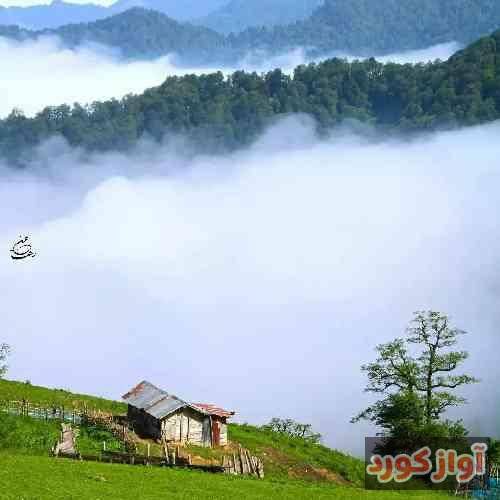 باران حکیمی دو نفره