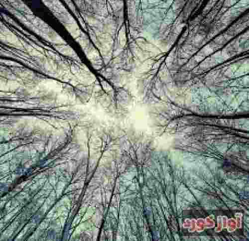 مهراب اون منو یادته رفتی