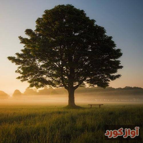 وریل در میان ابرها