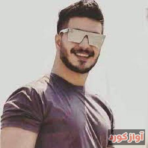آرمین برمایه بای بای عزیزم بای بای بای بای گلگم