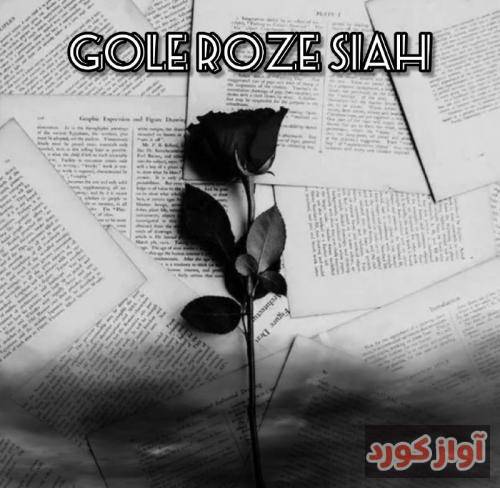 سان ریمیکس گل رز سیاه