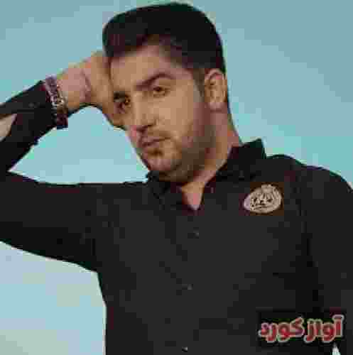 آرمین سبزواری آشوبگر