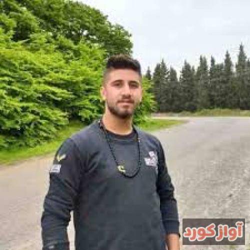 علی حمیدی همه جفتینه من تنهای تنها