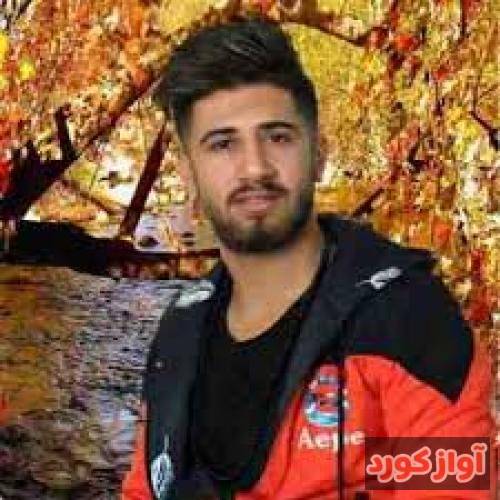 علی حمیدی بنالم من خلی نامرده دنیا
