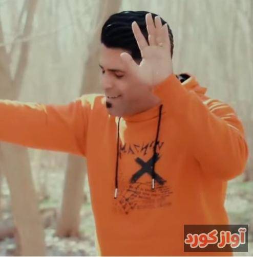 سجاد میرزایی و بودا قسم شائولینیج خز بی