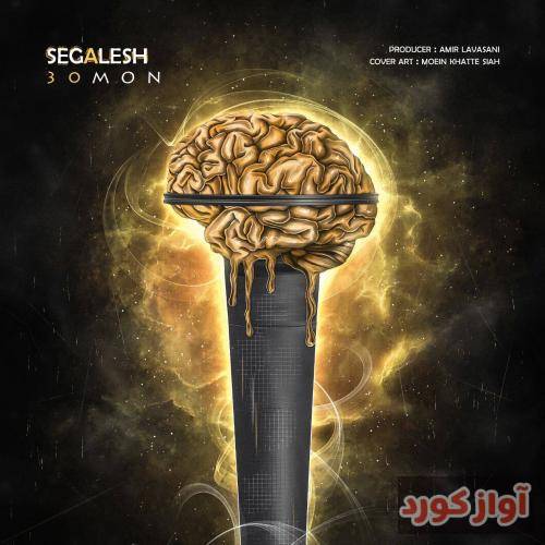 سیمون سگالش