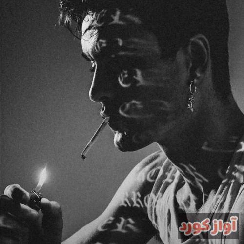 بهروز احمدی نرگس