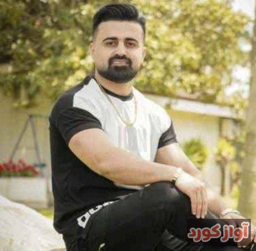 رضا علیزاده لب دریا منو تو یار که عالیه