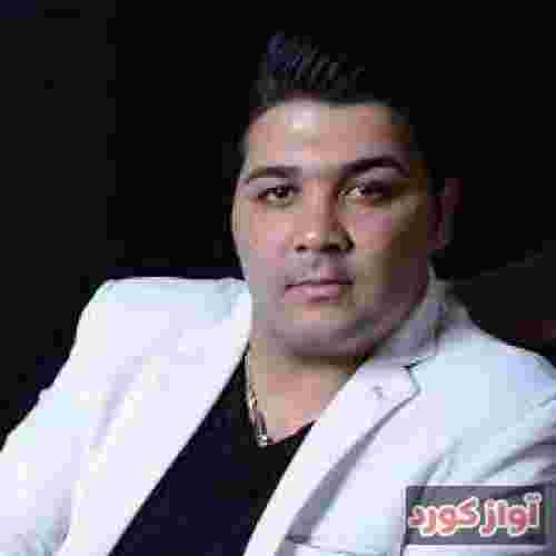 وحید سدیدی دلتنگتم