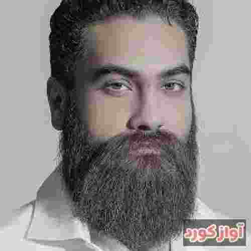 علی زند وکیلی پس بدین شادی تو صدامو