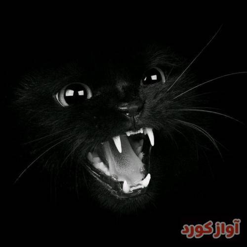  چقدر خوبه همه شب و روزام با تو نبند رو من چشماتو